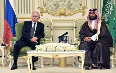 푸틴-사우디 빈 살만 왕세자 통화…"유가 안정 위해 협력"