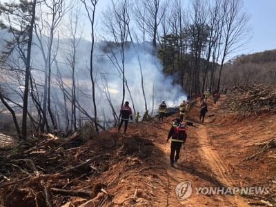 건조특보 속 동해 심곡동 산불, 40분만에 진화…200㎡ 소실