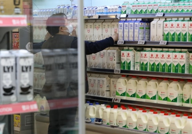 서울 시내 한 대형마트에서 관계자가 우유를 진열하고 있다. /뉴스1
