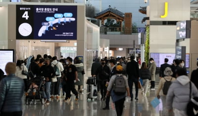 美 항공사 이익 추정치 높이자…국내 항공사도 일제히 '강세'