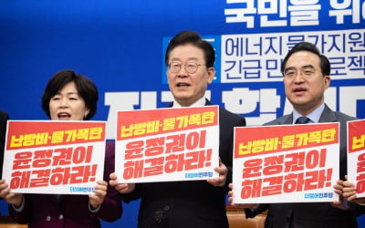 '윤석열 퇴진집회'와 함께 열리는 민주당 장외투쟁…우연의 일치?