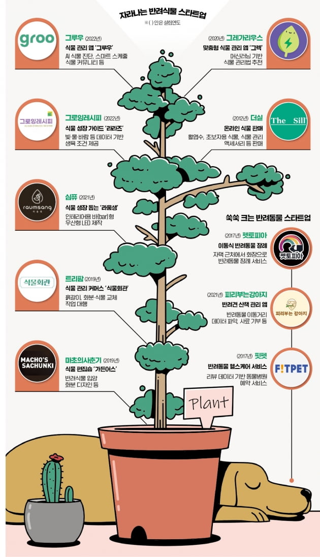 '식물 집사' 잡아라…자라나는 반려식물 스타트업 [인포그래픽]