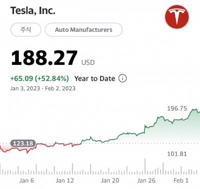 올해 들어 테슬라 주가 추이. /사진=야후파이낸스