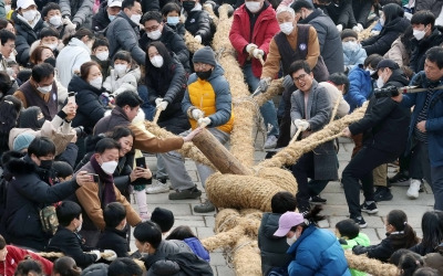  정월대보름에 즐기는 줄다리기