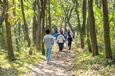 “성인의 78%가 한 달에 한 번 이상 산에 간다”