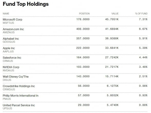 펀드 NANC가 투자한 상위 10개 종목. 캡처=블룸버그통신