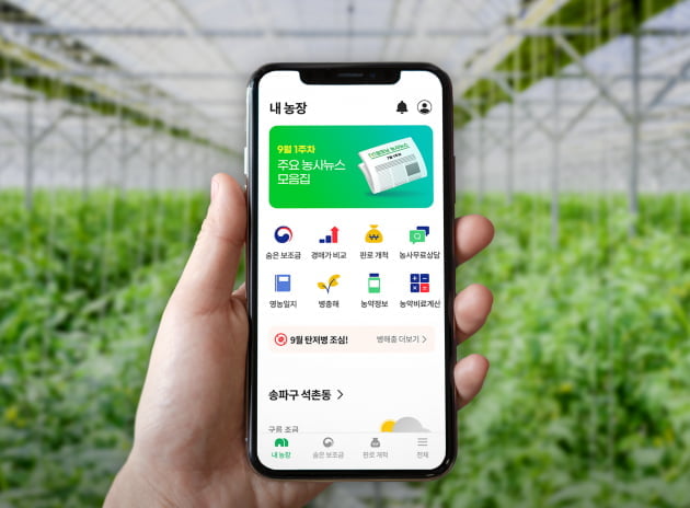 그린랩스의 대표 서비스 '팜모닝'. 농장 경영에 필요한 각종 데이터와 커뮤니티 플랫폼을 제공한다. /그린랩스 제공