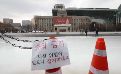 [포토] 서울광장 스케이트장 운영 종료