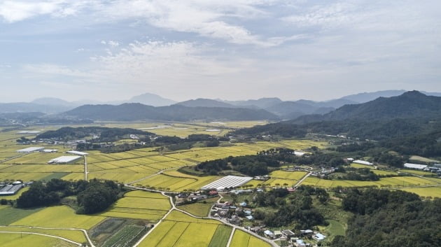 기사내용과 관련없음. 사진=게티이미지뱅크