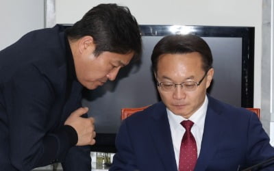 속도 못 내는 선거제 개혁…정개특위, '준연동형 비례제'부터 논의