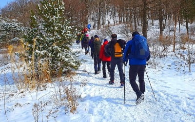 엘사를 만난 함백산, 만항재에서 두문동재까지…