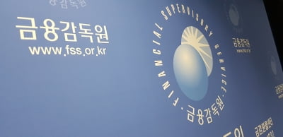 한-인니 수교 50주년…금감원 '금융협력 포럼' 개최