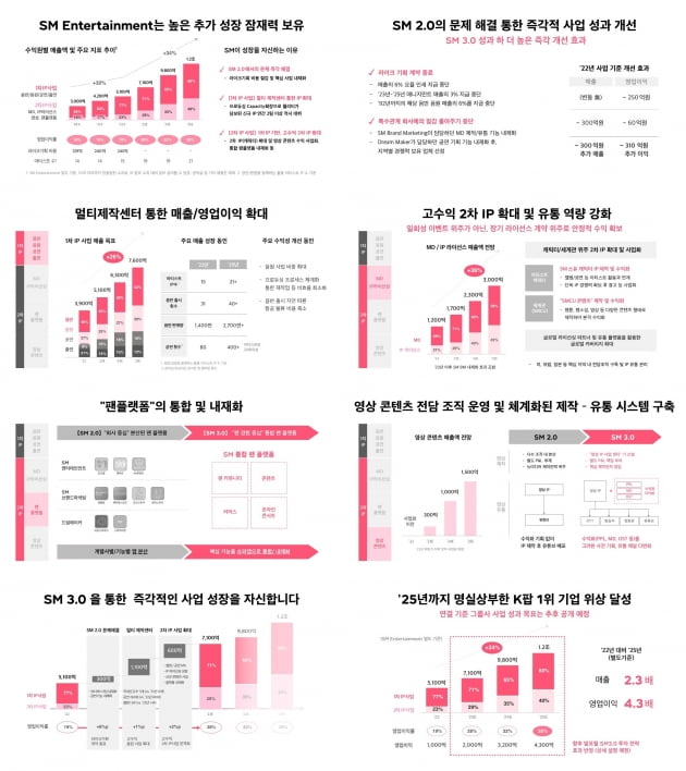 SM "매출 1.2조·영업이익률 35% 목표…BM·드림메이커 내재화"