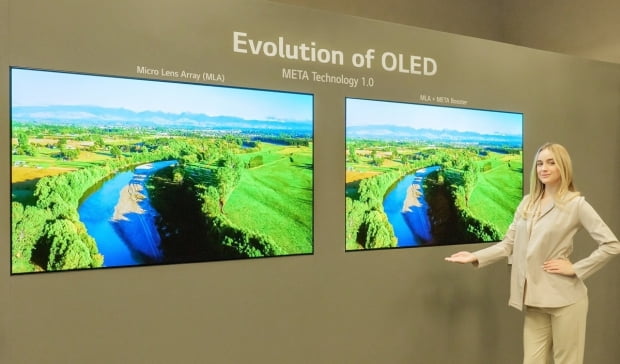 LG디스플레이 직원이 ‘메타 테크놀로지’ 기술을 적용한 3세대 OLED TV 패널을 소개하고 있다. LG디스플레이 제공