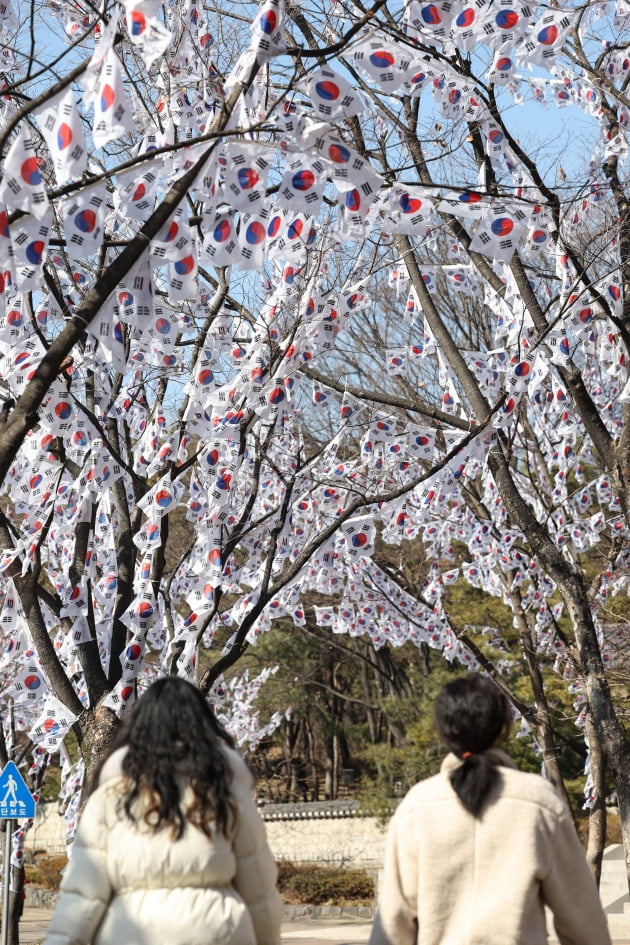 [포토] 태극기가 바람에 펄럭입니다