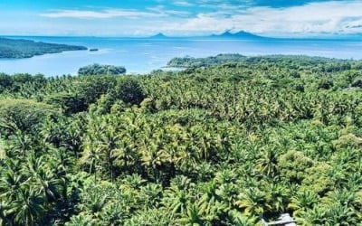 "비밀 작전"…파푸아뉴기니서 괴한에 납치된 호주 교수 귀환