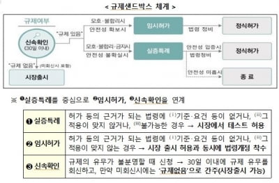 전국 19개 R&D특구서 기업 단독 규제샌드박스 가능해진다