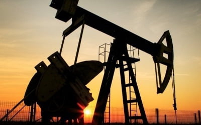 [속보] OPEC+ "원유 생산량 유지…오는 4월 다시 논의"
