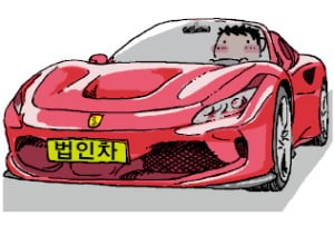 [천자칼럼] 연두색 車 번호판 논란