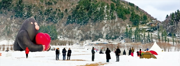 울릉도에는 송곳산 미륵산 비파산 성인봉 등 높고 낮은 봉우리들이 있다. 이 봉우리들이 둘러싸고 있는 나리분지는 해발 500m에 자리 잡아 오랜 시간 섬 사람들의 생활 터전이었다. 눈 덮인 나리분지엔 겨울철 ‘눈꽃 캠핑’을 즐기려는 사람들이 매일 모여든다.  울릉도=임대철 기자 