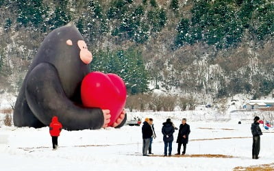 이글루 캠핑·원시림 트래킹…겨울 울릉도는 '힐링 천국'