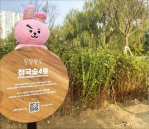 "BTS 숲 보러 한강 오세요"…서울시, 1만㎡ 규모 조성