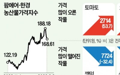 한파·흐린 날씨…오이값 84% 급등