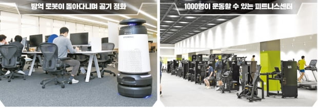 전 좌석 200만원짜리 허먼밀러 의자 