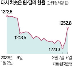 치솟은 환율…한달 만에 1250원대