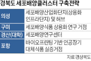 경북도, 세포배양산업 확 키운다