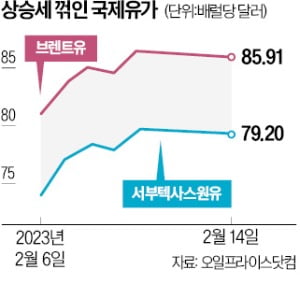 러 원유 감산에 美는 비축유 풀어 '유가 안정'