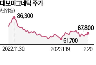 '2차전지 장비' 대보마그네틱 매각 추진