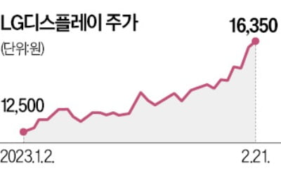 OLED 봄날 온다…LGD 올해 30% '쑥'