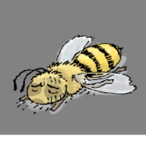 [천자칼럼] 꿀벌의 경고