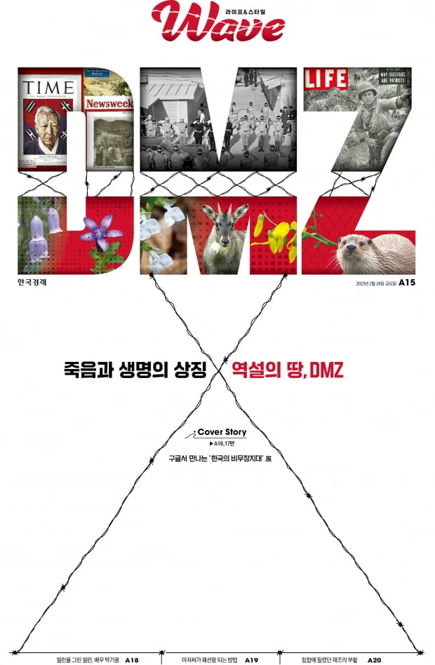 죽음과 생명의 상징…역설의 땅, DMZ