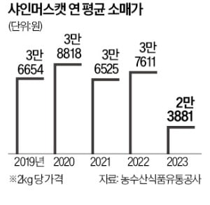 샤인머스캣 조기출하 '부메랑', 맛·당도 뚝…"上品 어디 없소"