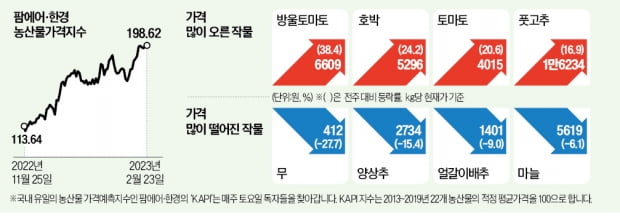 날씨도 풀렸는데…꺾이지 않는 신선식품값 왜?