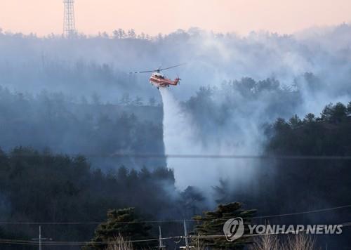 '바짝 마른 동해안' 강원도, 봄철 산불방지대책 본격 추진