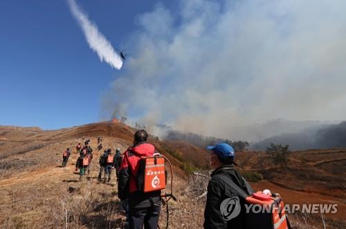 '바짝 마른 동해안' 강원도, 봄철 산불방지대책 본격 추진