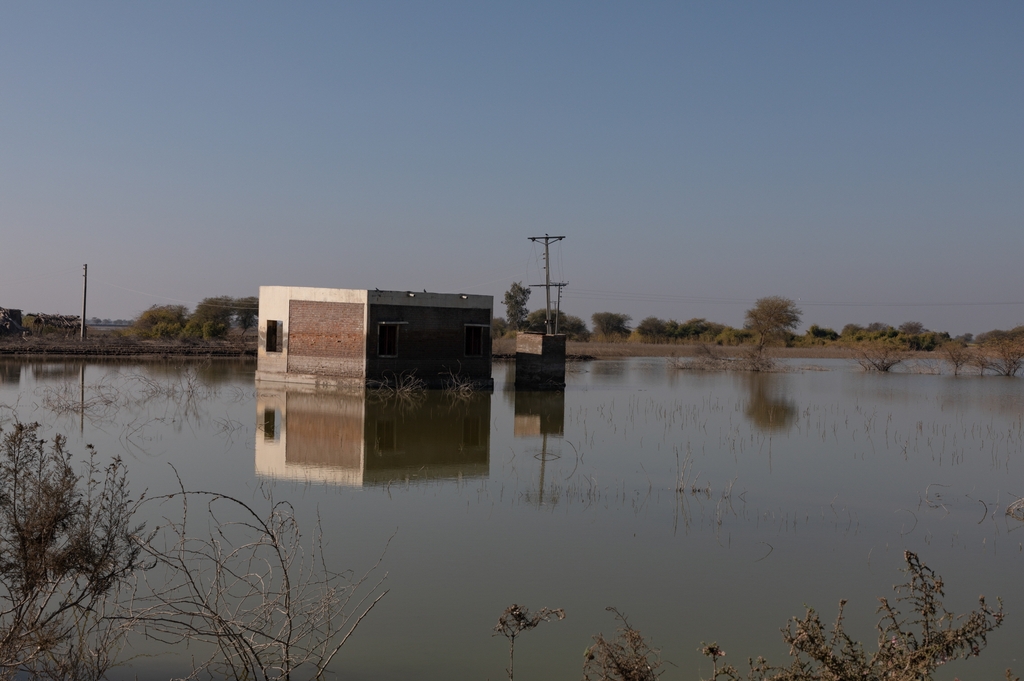 [르포] '기후 디스토피아' 파키스탄…"대홍수 뒤 썩은 물로 연명"