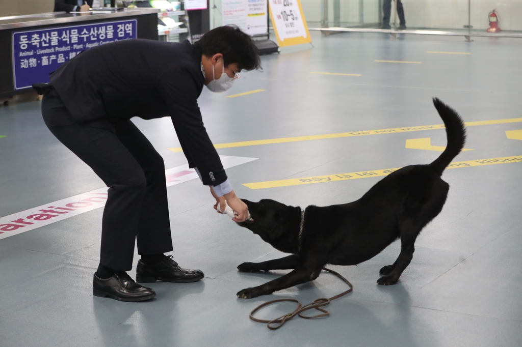 [김해공항 철통경'개'] ② 동물학대? 탐지견에겐 게임일 뿐