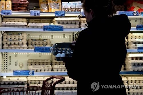 "계란 너무 비싸 집에서 닭 키운다"…미국서 '귀한 몸' 된 닭