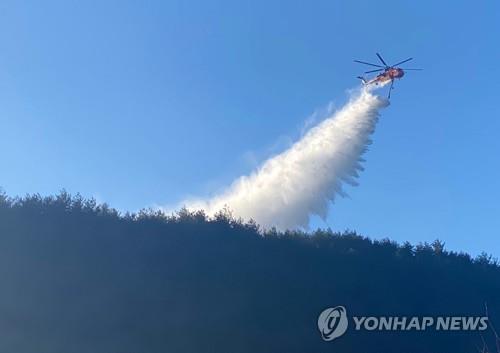 '산불 위험' 강원도, 동해안 정월대보름 행사장 기동 단속