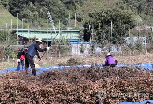 '산불 막고 환경도 보호'…익산시, 농업부산물 무료 파쇄