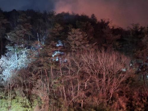 낙엽 모아 불낸 정황 발견…산림당국, 울진 산불방화범 추적