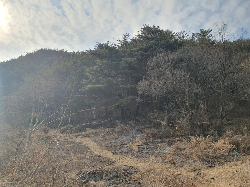 낙엽 모아 불낸 정황 발견…산림당국, 울진 산불방화범 추적