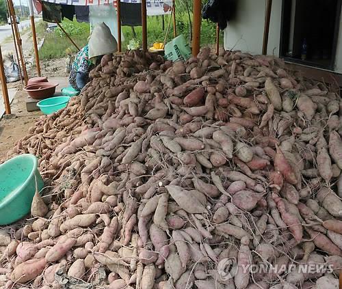 익산시, 신학기부터 초중고 학교급식 직영…친환경 농산물 공급