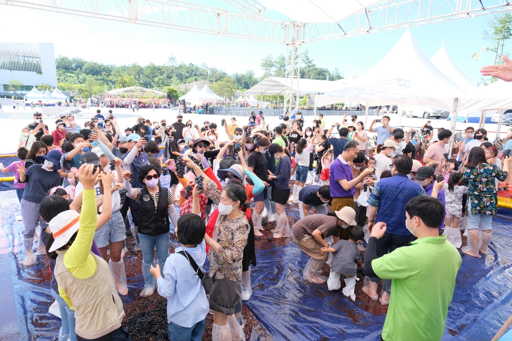 영동포도축제 등 충북 4개 축제 'K-컬처 100선' 선정