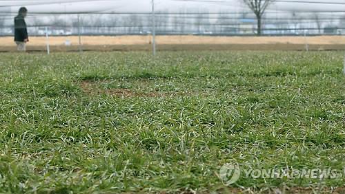 익산시, 쌀 대신 밀·콩 심는 농가에 '전략 작물 직불금'