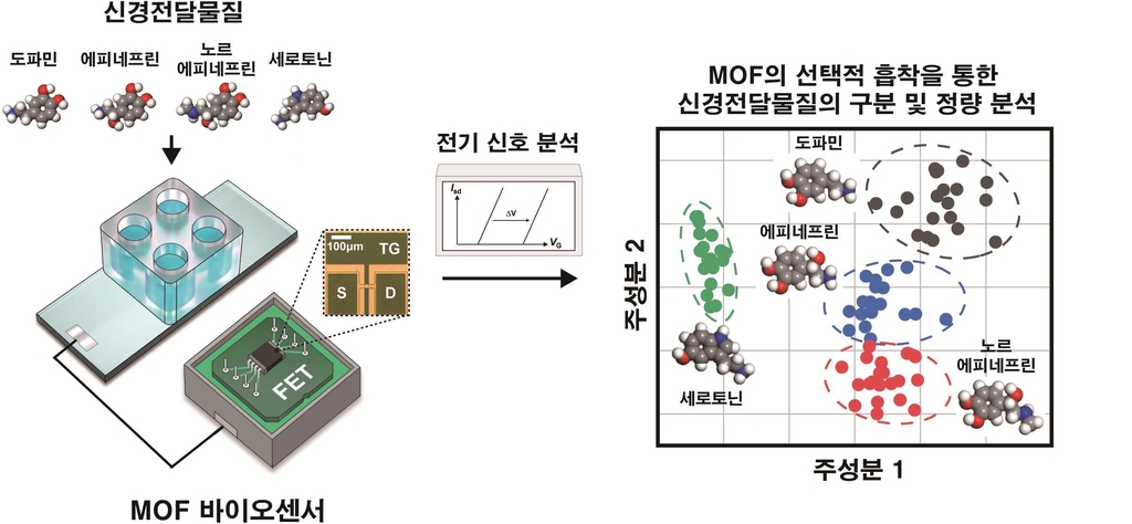 체액 속 신경전달물질 측정 센서 개발…"정신질환 진단 기대"